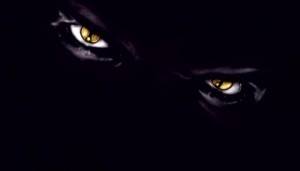 10846096_407557932734045_4738696782662924115_n